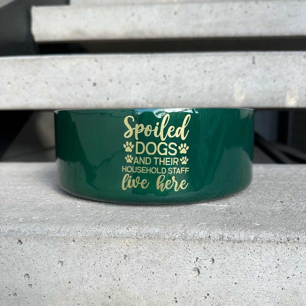 Stainless Steel Double Insulated Non Skid Dog Bowl 64 oz Spoiled Dogs  Green